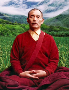 Nyoshul Khen Rinpoche